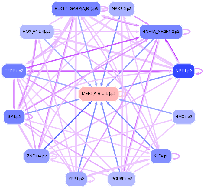 PNG image of the network